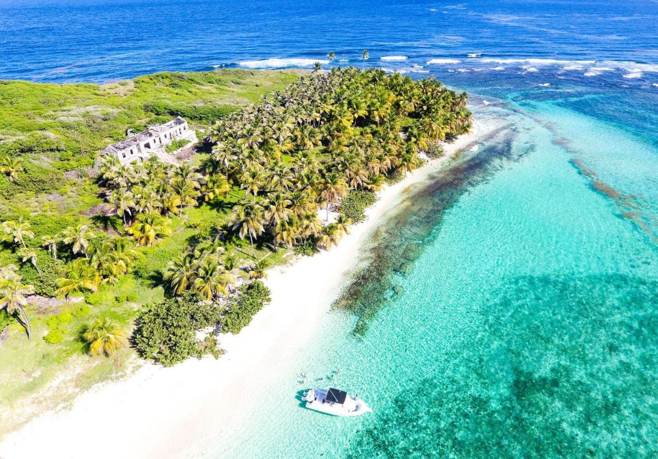 473 Grenada Boutique Resort St. George's Buitenkant foto